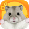 ��Ҷ��֮��v1.0.0 ��׿��