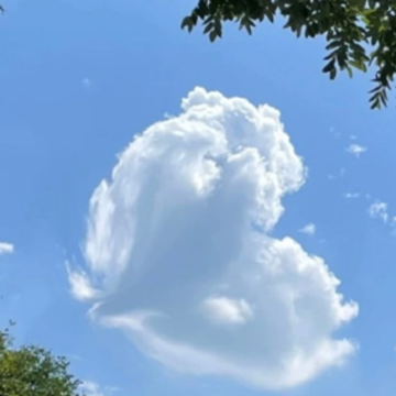 ��ѡ֮�ӵ�˵˵ ������������˵�����Ȧ�̾�