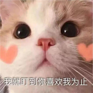 �����󷢵��������˶����� ���ٳ������Ȥζ����
