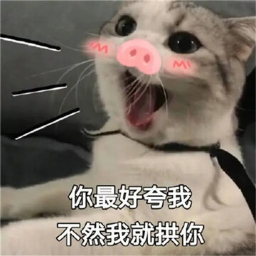 �����󷢵��������˶����� ���ٳ������Ȥζ����