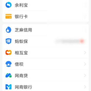 ֧�����޶���ô��� ֧����ת���޶�������ô��