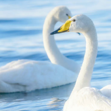 �ܸɾ������ʵĸ������� ��������������