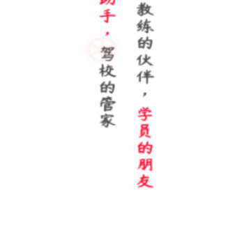 维尔驾服驾服版app 维尔驾服驾服版app