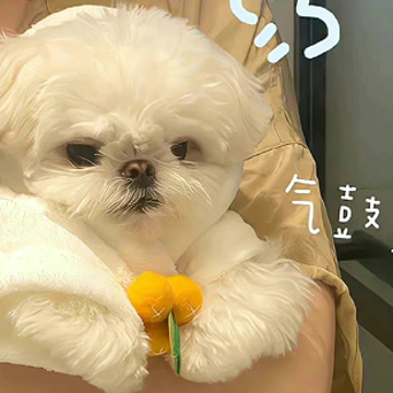 ���첻ʧ����ǩ���������� ���¸�ʮ�������ǩ��