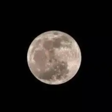 vivo手机怎么拍月亮更清晰 vivo手机拍月亮专业模式参数怎么设置 vivo手机怎么拍月亮更清晰 vivo手机拍月亮专业模式参数怎么设置