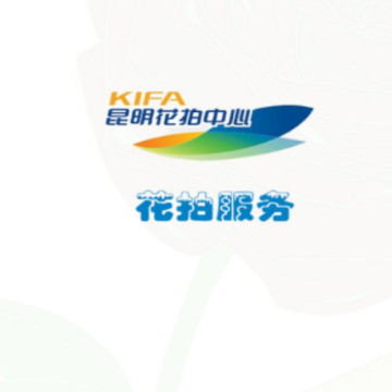 花拍服务供app 花拍服务供app