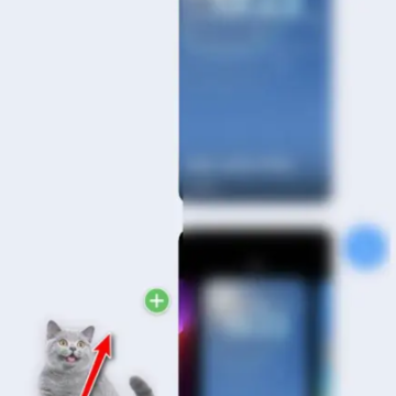iOS16抠图怎么用?iOS16抠图怎么发微信? iOS16抠图怎么用?iOS16抠图怎么发微信?