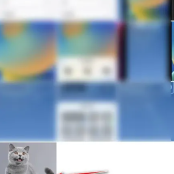 iOS16抠图怎么用?iOS16抠图怎么发微信? iOS16抠图怎么用?iOS16抠图怎么发微信?