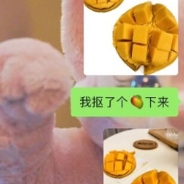 iOS16抠图怎么保存?怎么发微信?iOS16抠图可以放到哪里? iOS16抠图怎么保存?怎么发微信?iOS16抠图可以放到哪里?