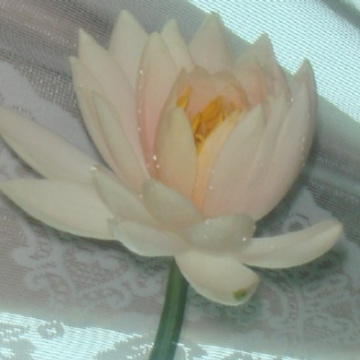 ���Ӳ�����е�����˵˵ ������п����µ����̾���