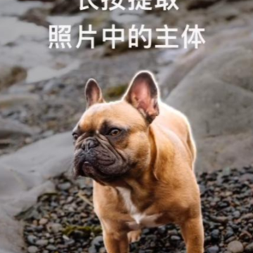 iOS16��ͼ��ʲô�� iOS16��ͼ��ʲô�淨