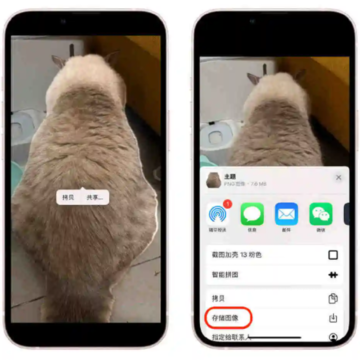 iOS16��ͼҪʲô���ͣ�Ϊʲ�ҵ�ƻ���ֻ�����iOS16û�п�ͼ���ܣ�