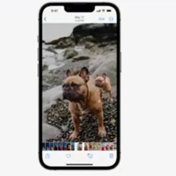 iOS16��ͼҪʲô���ͣ�Ϊʲ�ҵ�ƻ���ֻ�����iOS16û�п�ͼ���ܣ�