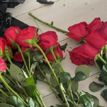 һ�ж������������־���� ���ѻ��ȥ�ľ�����־