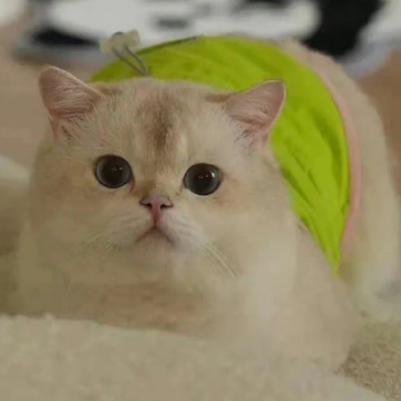 �������������������� �����ֺ�ů�ĵ���ů�ǳ�
