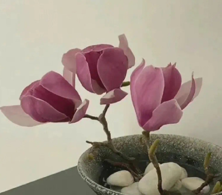���������ڵľ����İ� �ɴ������е����ľ���