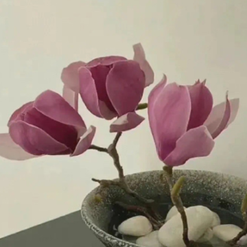 ���������ڵľ����İ� �ɴ������е����ľ���