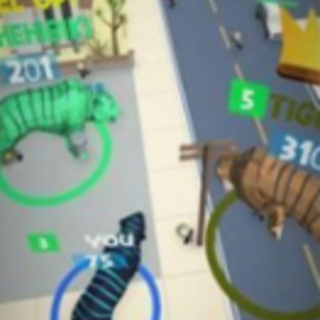 ���Ǵ��Ҷ�(Tiger City Smash)