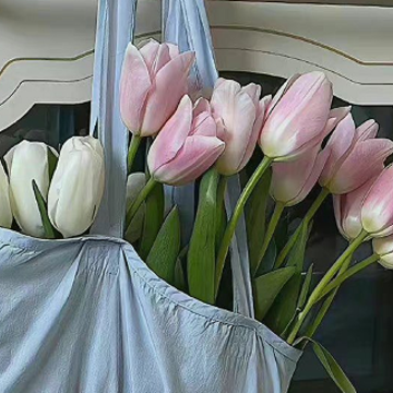�������ʵ�Ů������������ ���ʺܶ��ص�Ů���ǳ�