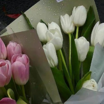 ��ʮ������ף����¼��� ף�Լ���ʮ�����տ�����¼