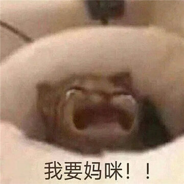 �豦Ů�������°�ϼ� è�䱦������������