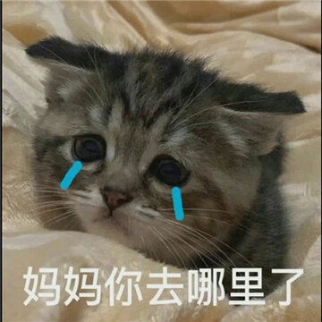 �豦Ů�������°�ϼ� è�䱦������������