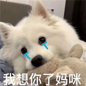 �豦Ů�������°�ϼ� è�䱦������������