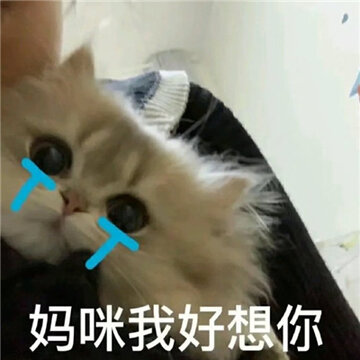 �豦Ů�������°�ϼ� è�䱦������������