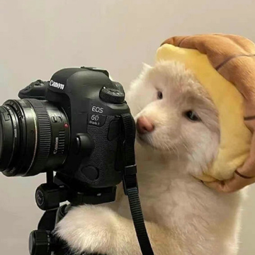 ��Ц����ͷ�ķ�����ѧ�İ� �ճ�������ѧ�İ�