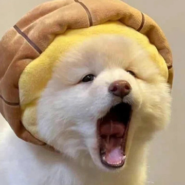 ��Ц����ͷ�ķ�����ѧ�İ� �ճ�������ѧ�İ�
