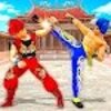 ���ֵ������Kung Fu Fightingv21 ��׿��