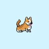 �»�����Corgi Runv1.2022.07.01a ��׿��