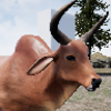 ����Ϭţģ����Happy Rhino Simulatorv1.2 ��׿��