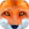 ����ģ����Fox Simulatorv1.3 ��׿��
