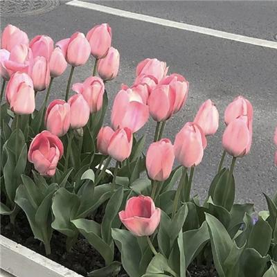 �򵥲�ʧ�ʸеı������ºϼ� �ɾ��󷽵����ʱ�����ȫ