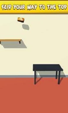 ƿ�ӷ�ת��ʦ�����(Bottle Flip)v1.0.5 ��׿��