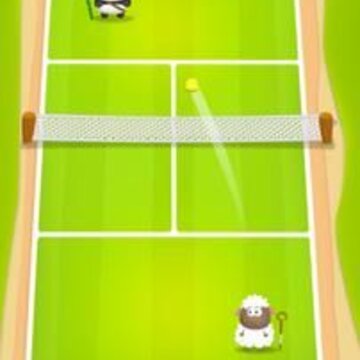 ����Ӣ��Tennis Hero