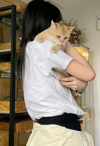 ȫ����ÿ����ֻ���ֽ ����ֻ���ֽ�ø�����