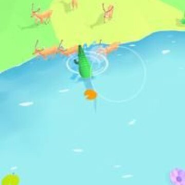 野生动物探险Wildlife Adventure 野生动物探险Wildlife Adventure