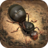 ����ʱ��v1.0.31.0 ���°�