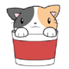 ��������Noodles and Mev1.0.5 ��׿��