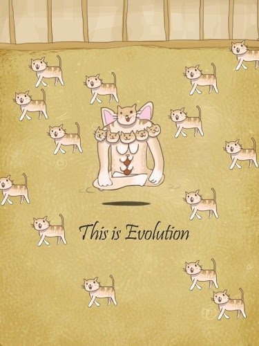 Сè�������ɶ����İ�(Cat Evolution Party)v2.0.2 ��׿��