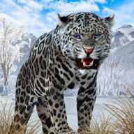 野生雪豹模拟器Snow Leopardv2.2 安卓版