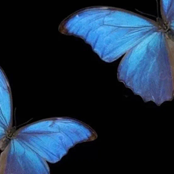 �Ϲ�����������İ� �Ϲ������˸еľ��Ӳ�����