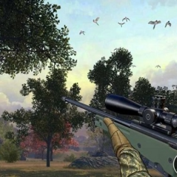 野鸭狩猎模拟器(Wild Duck Hunting) 野鸭狩猎模拟器(Wild Duck Hunting)