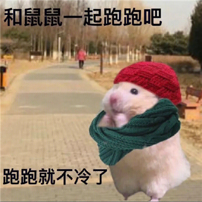 �����õ�΢�ű���������Ȥ �������Ȥζ��Ц����