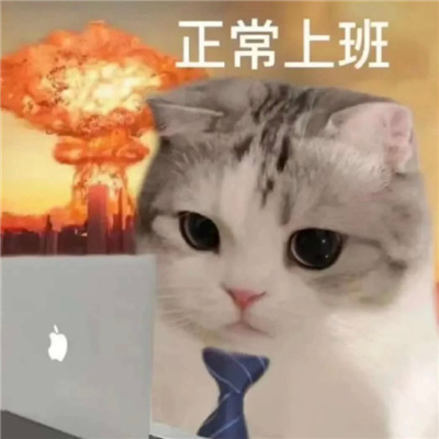 �ḻһ����Ŀ������ �ܺ����ֺܺ�Ц�ı�������