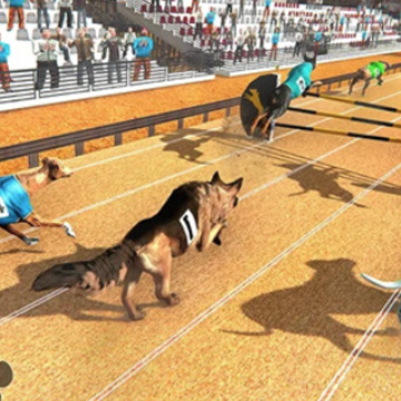 ����������Dog Racing Championship