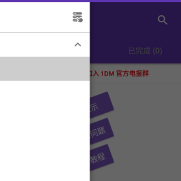 1DM+����