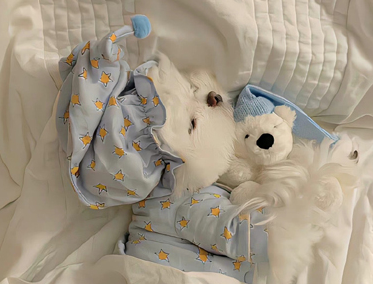 �����Ѷ��Լ��ܺõ��Ҹ�˵˵ ������ĺ�����Ҹ��̾�